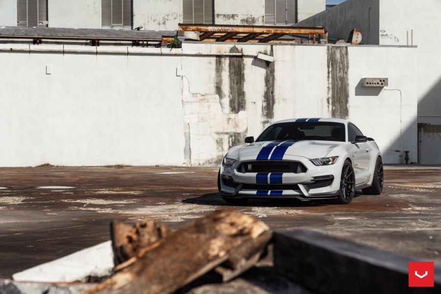 Shelby GT350 on Vossen Wheels (HF-3) 2019 года  (фото 2 из 13)